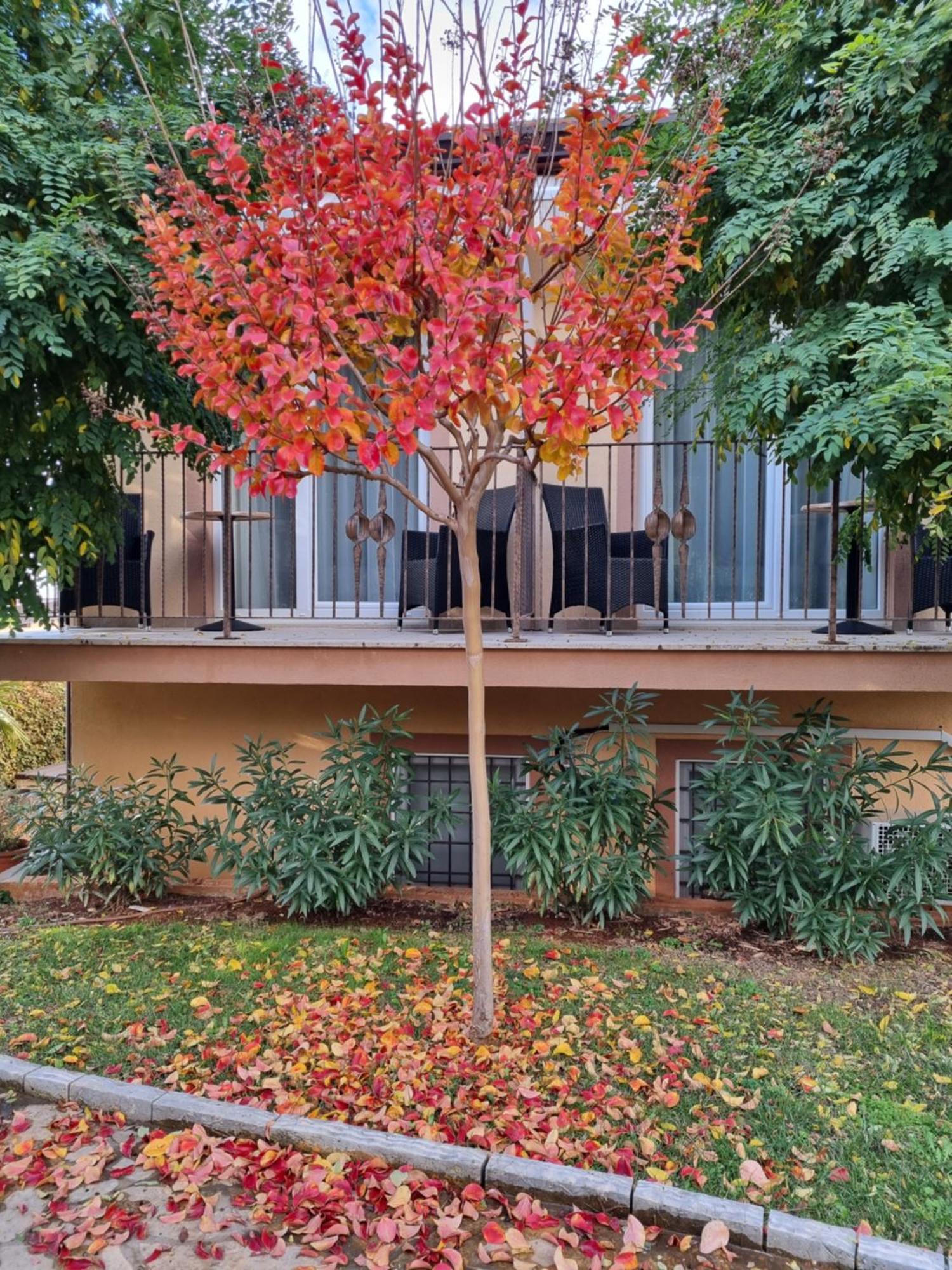 Hotel Zlatna Vala Umag Exterior foto